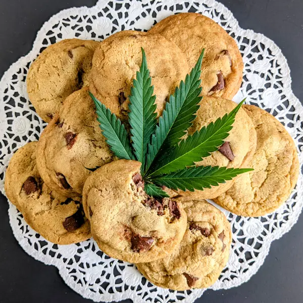 Cannabis Chocolate Chip Cookies