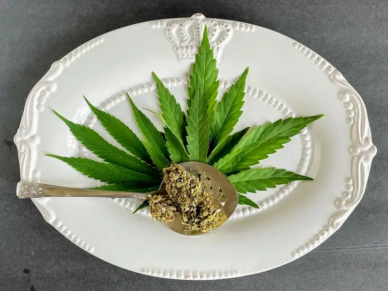 Cooking with Cannabis: Edibles 101