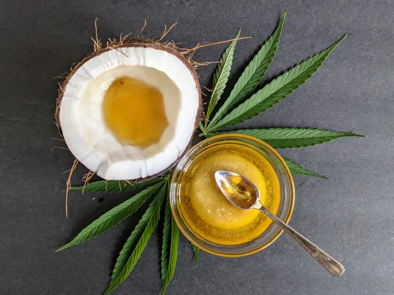 How to Make Cannabis-Infused Coconut Oil