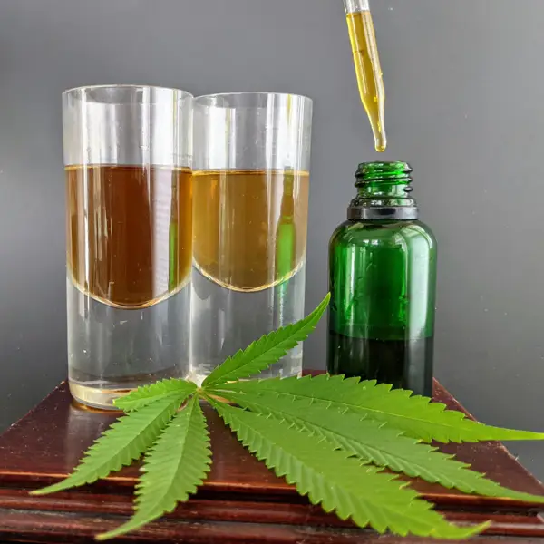 How to Make Cannabis Tincture (Green Dragon, Golden Dragon & FECO)