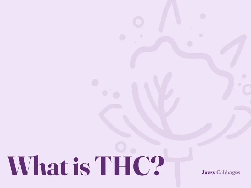 What Is THC? Effects, Science, and What to Expect