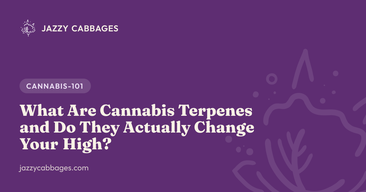 What Are Cannabis Terpenes and Do They Actually Change Your High?
