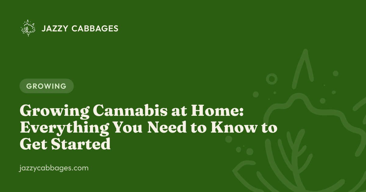 Growing Cannabis at Home: Everything You Need to Know to Get Started